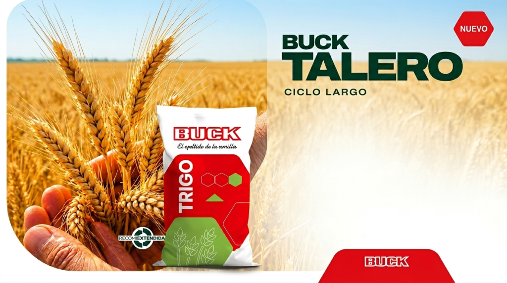 Bolsa de Producto Buck Talero con fondo campestre